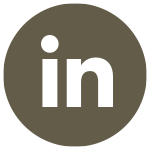 Dina Teuchner bei Linkedin